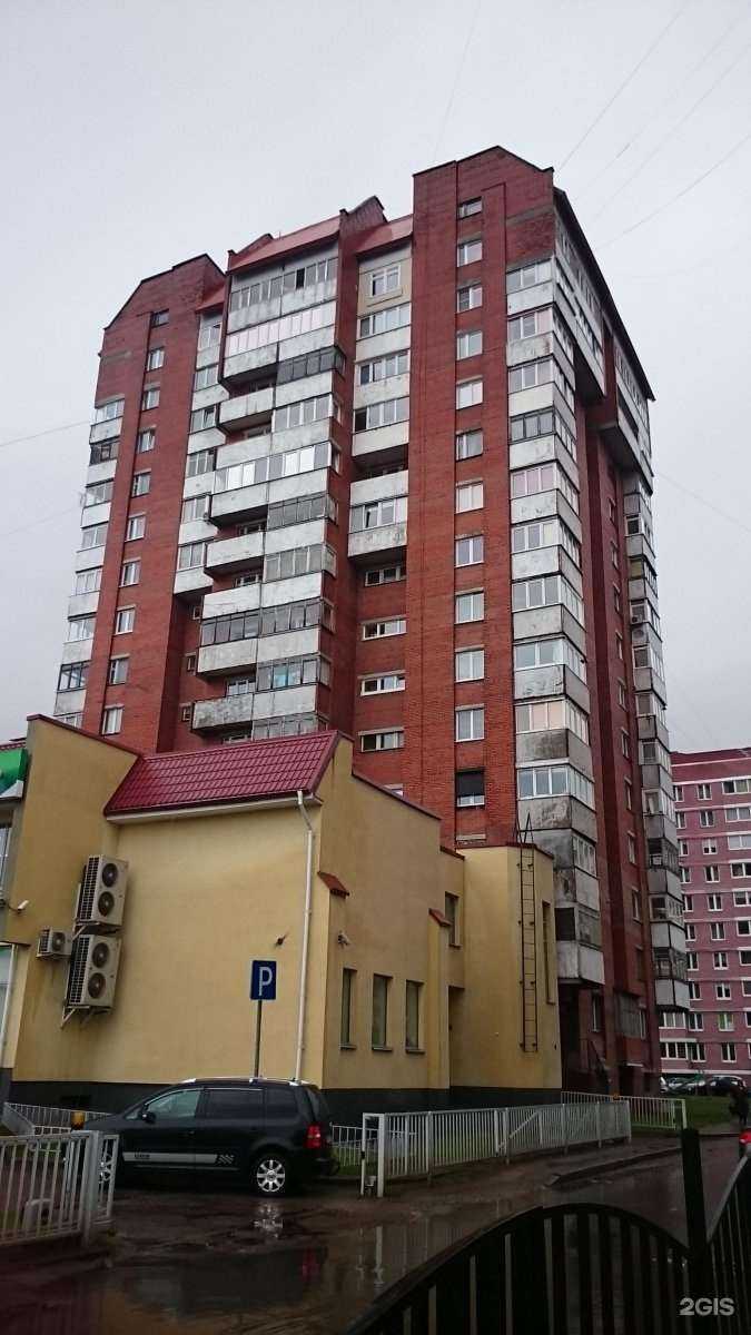 Отзывы на компанию Мадагаскар в Калининграде c фото - фотография 2 из 2