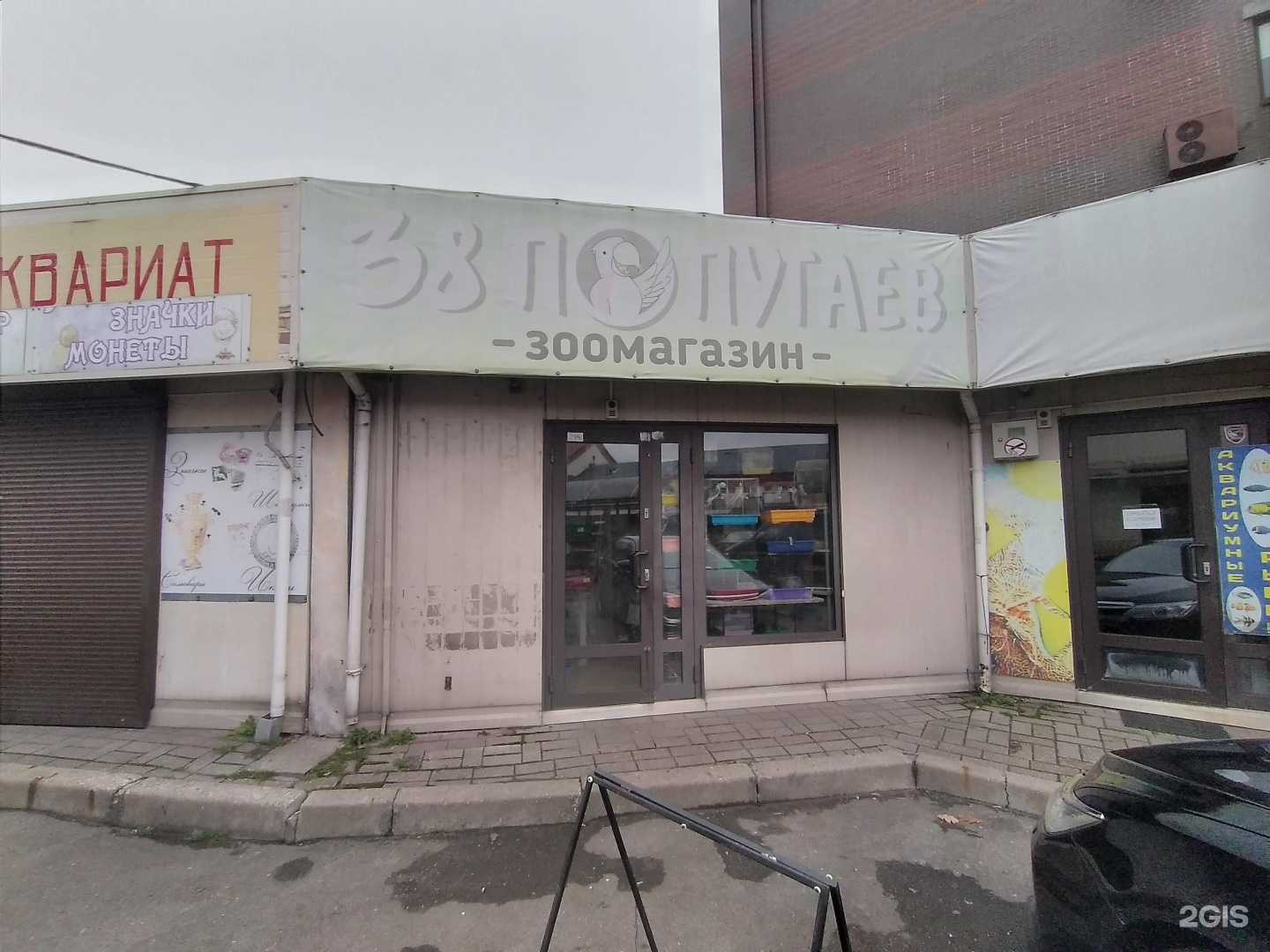 Отзывы на компанию 38 попугаев в Калининграде c фото