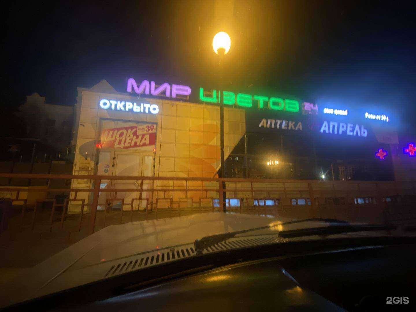 Отзывы на компанию Мир цветов в Камышине c фото - фотография 2 из 2