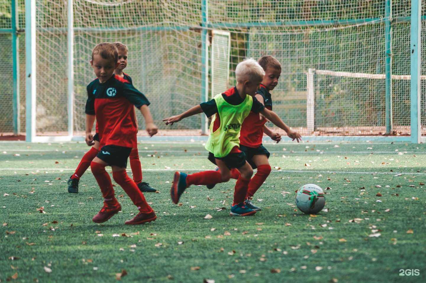 Отзывы на компанию Галактикос в г. Тольятти c фото