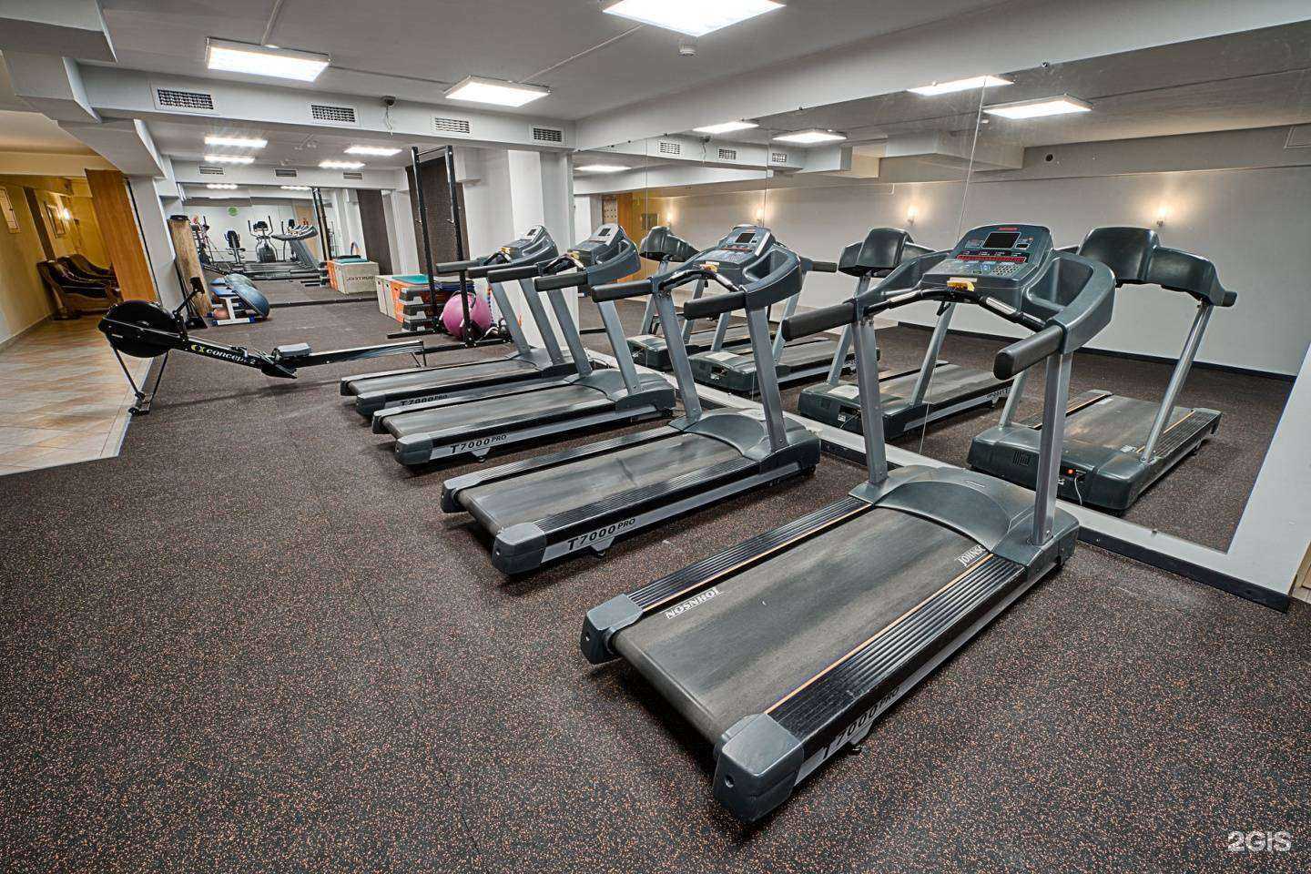 Отзывы на компанию Палестра в Архангельске c фото