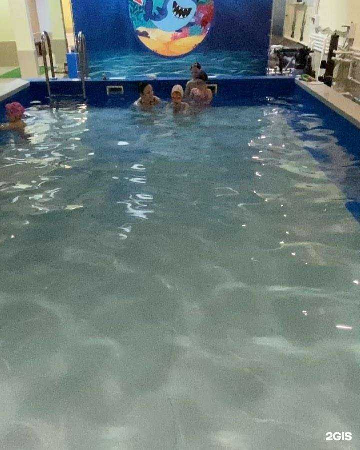 Отзывы на компанию Акулёнок в Орле c фото