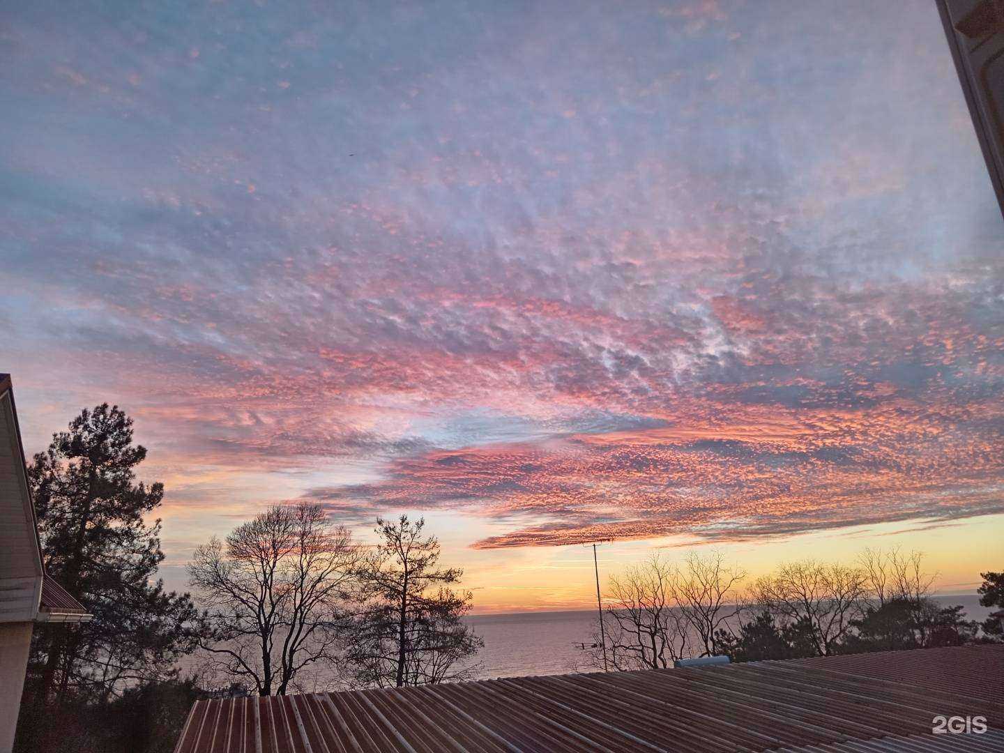 Отзывы на компанию Рандеву в г. Сочи c фото