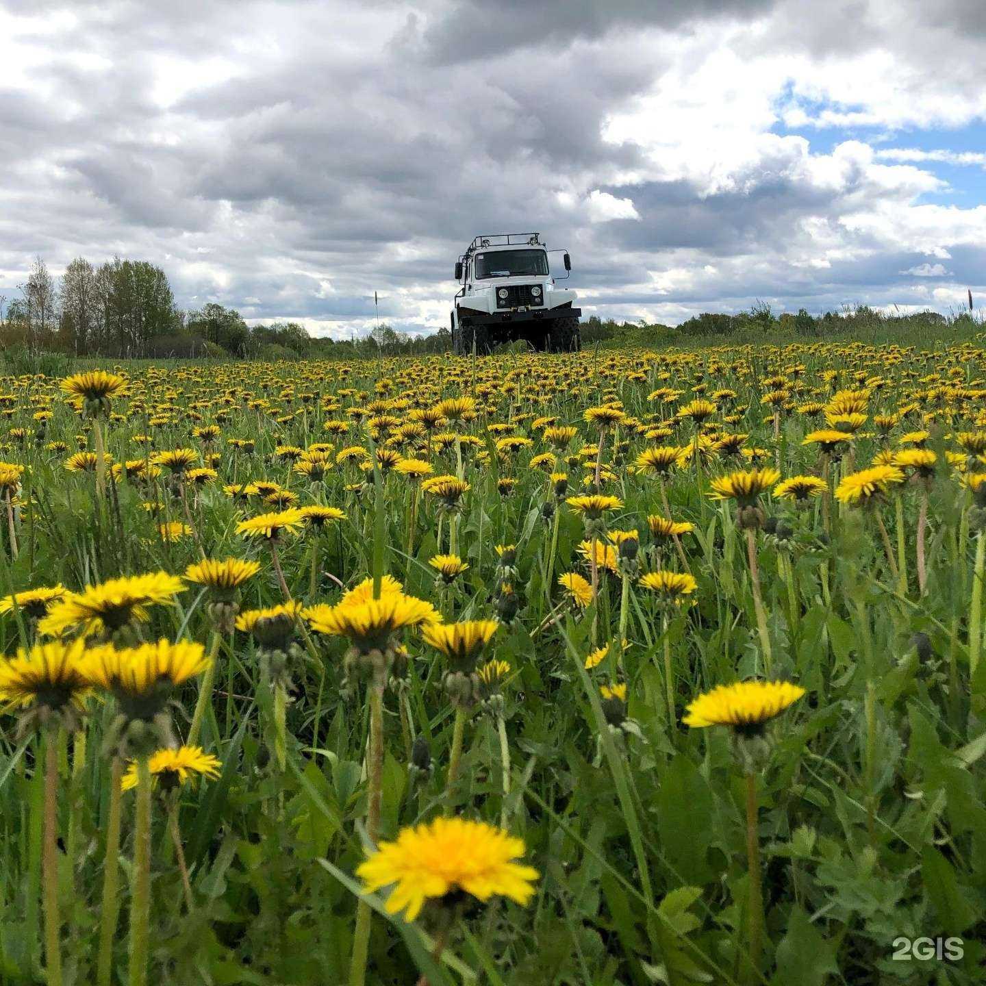 Отзывы на компанию Завод Вездеходных Машин в Заволжье c фото
