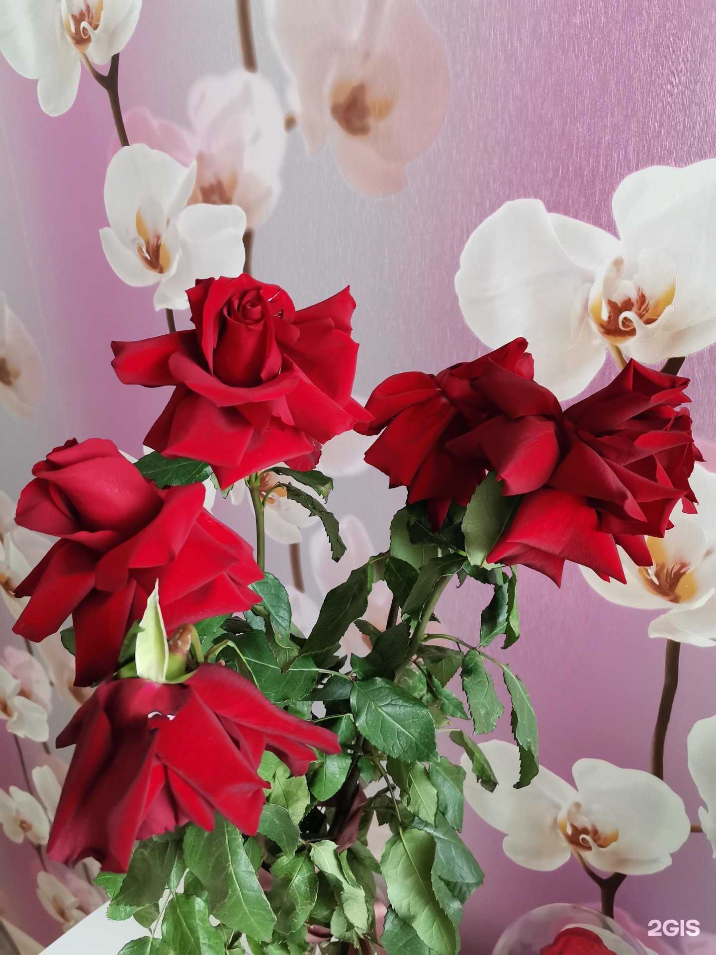 Отзывы на компанию Закбук в Нижнем Новгороде c фото