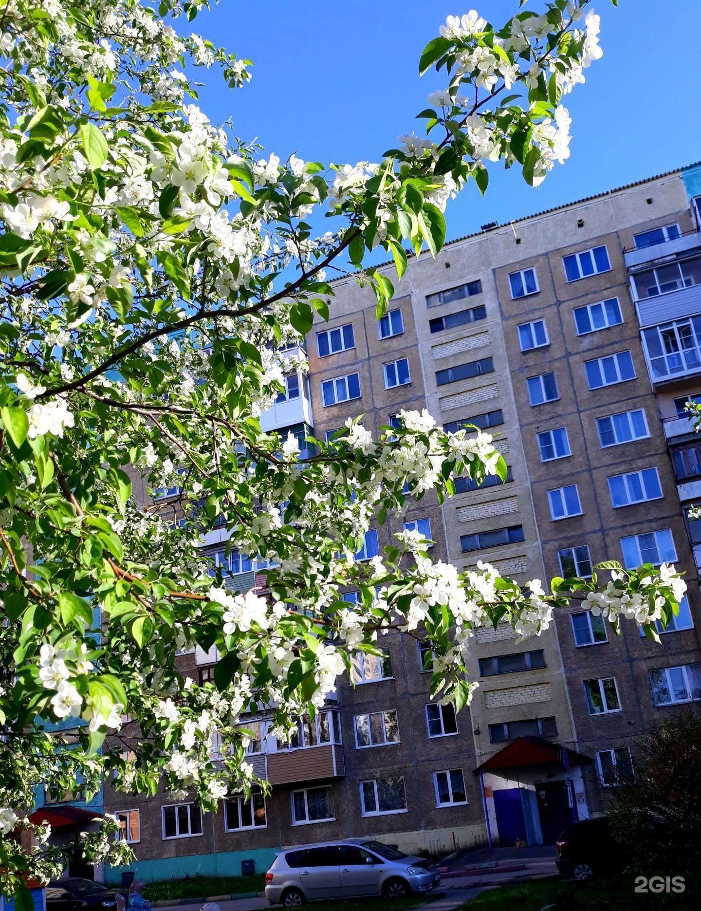 Отзывы на компанию Ананас в Барнауле c фото - фотография 2 из 2