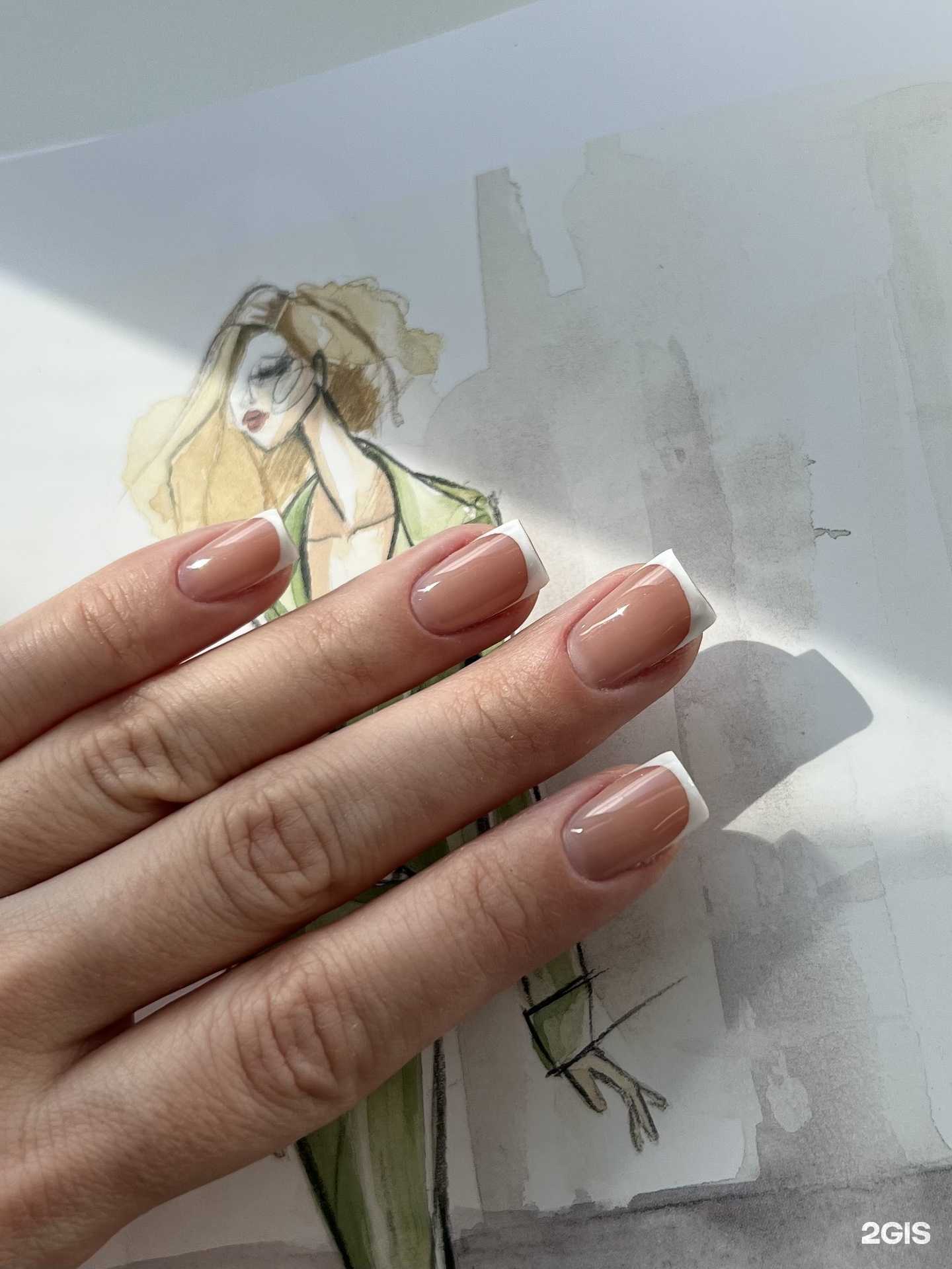 Отзывы на компанию Rose’ в Вологде c фото