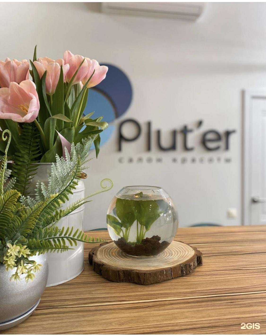 Отзывы на компанию Plut`er в Ставрополе c фото