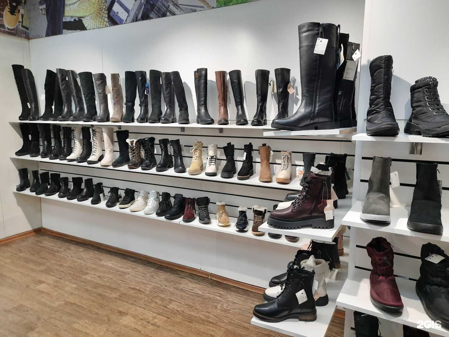 Отзывы на компанию Ralf в г. Новосибирск c фото