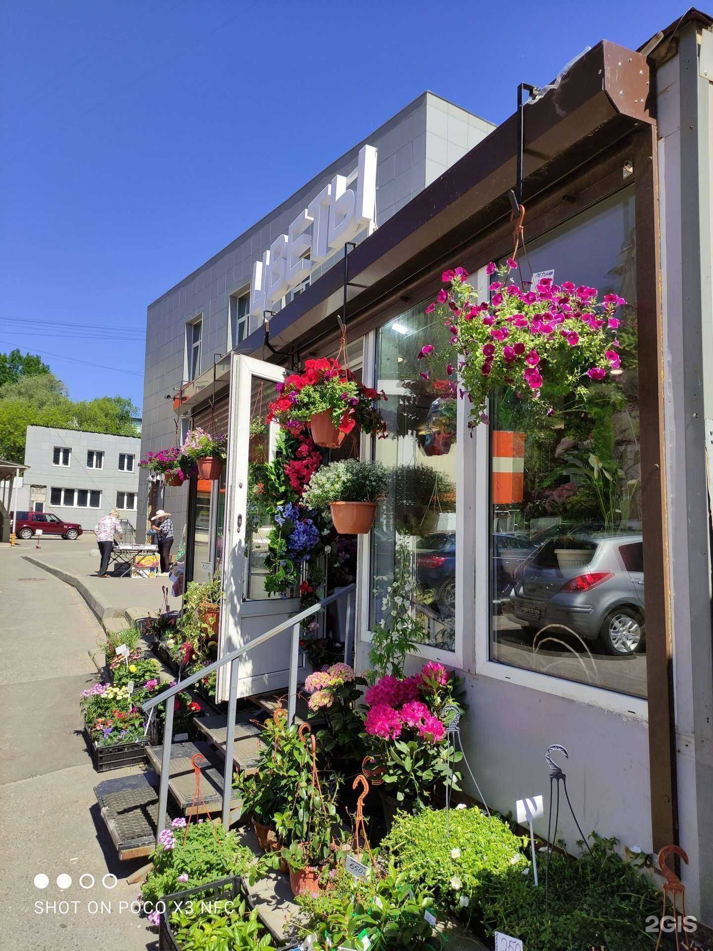 Отзывы на компанию Pion в Щёлкове c фото