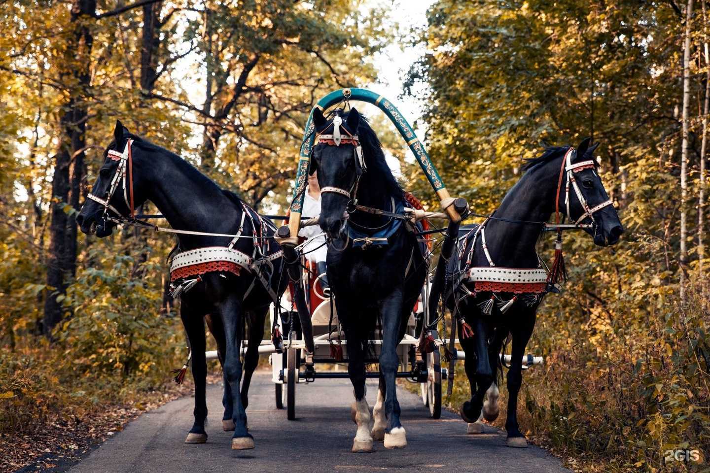 Отзывы на компанию Яр в г. Воронеж c фото