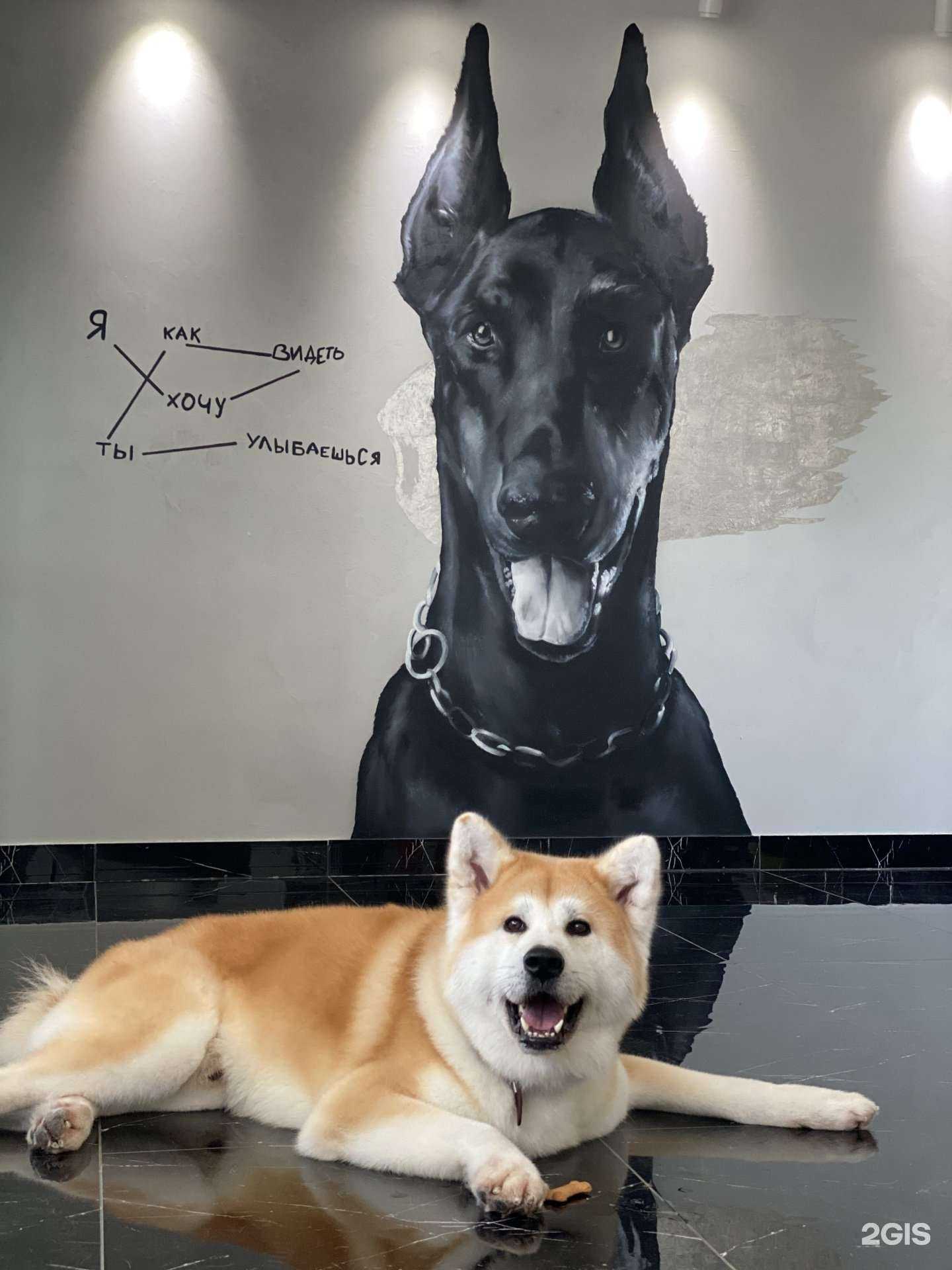 Отзывы на компанию Grooming House в г. Нижневартовск c фото