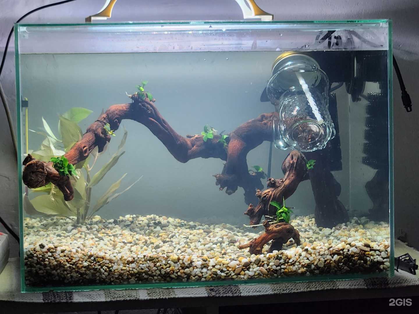 Отзывы на компанию Розовый слон в г. Хабаровск c фото