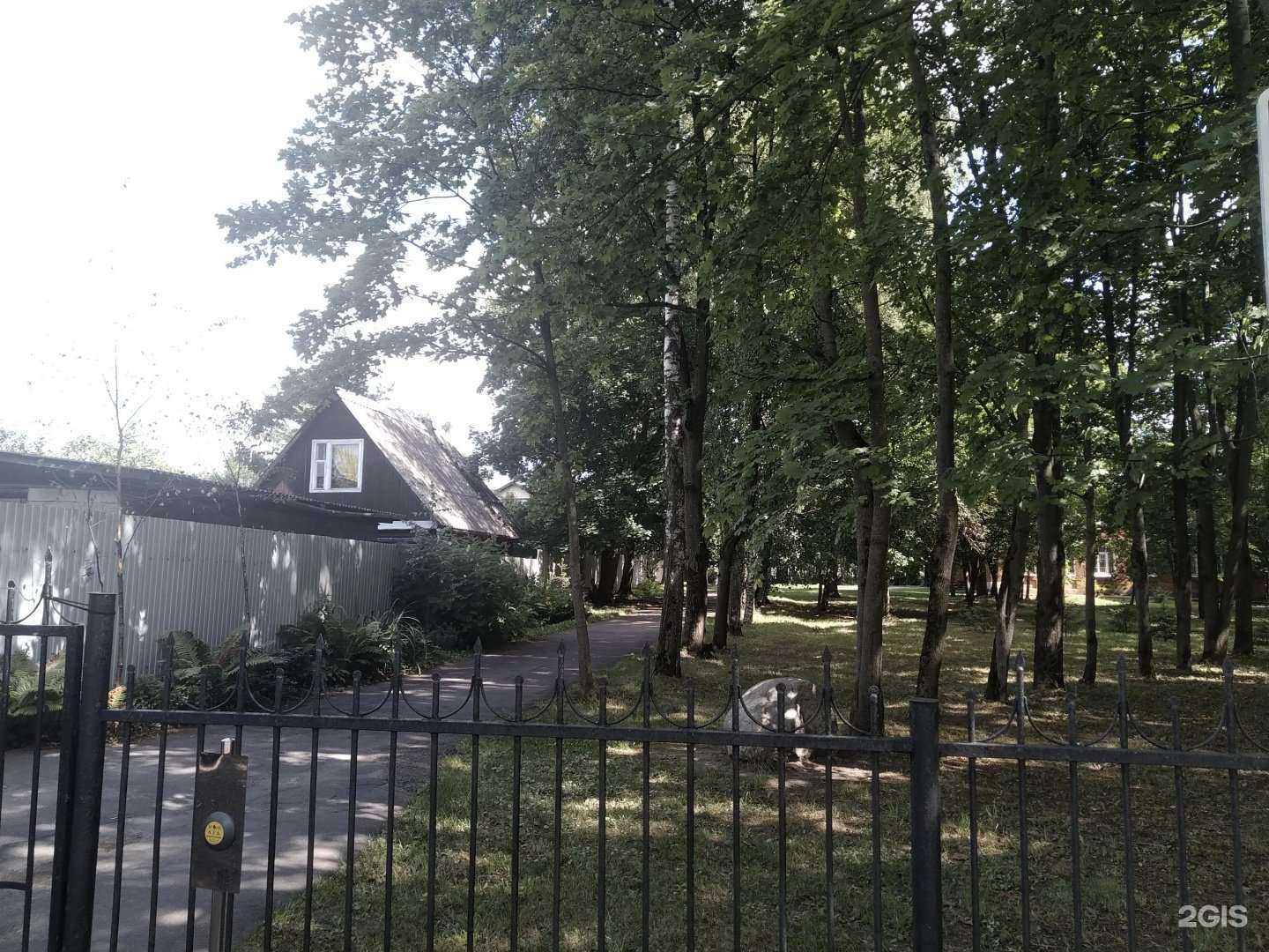 Отзывы на компанию Пушкинская детская художественная школа в Пушкине c фото