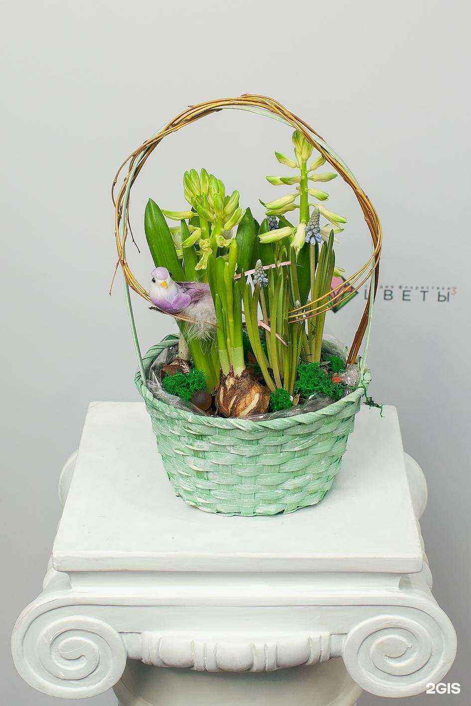 Отзывы на компанию Цветы в кубе в Самаре c фото