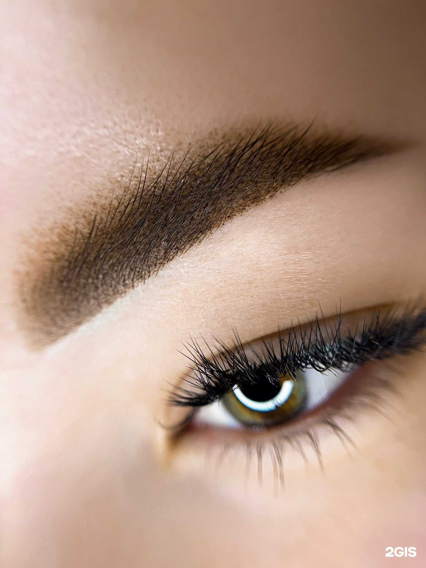 Отзывы на компанию Shakti в Сочи c фото