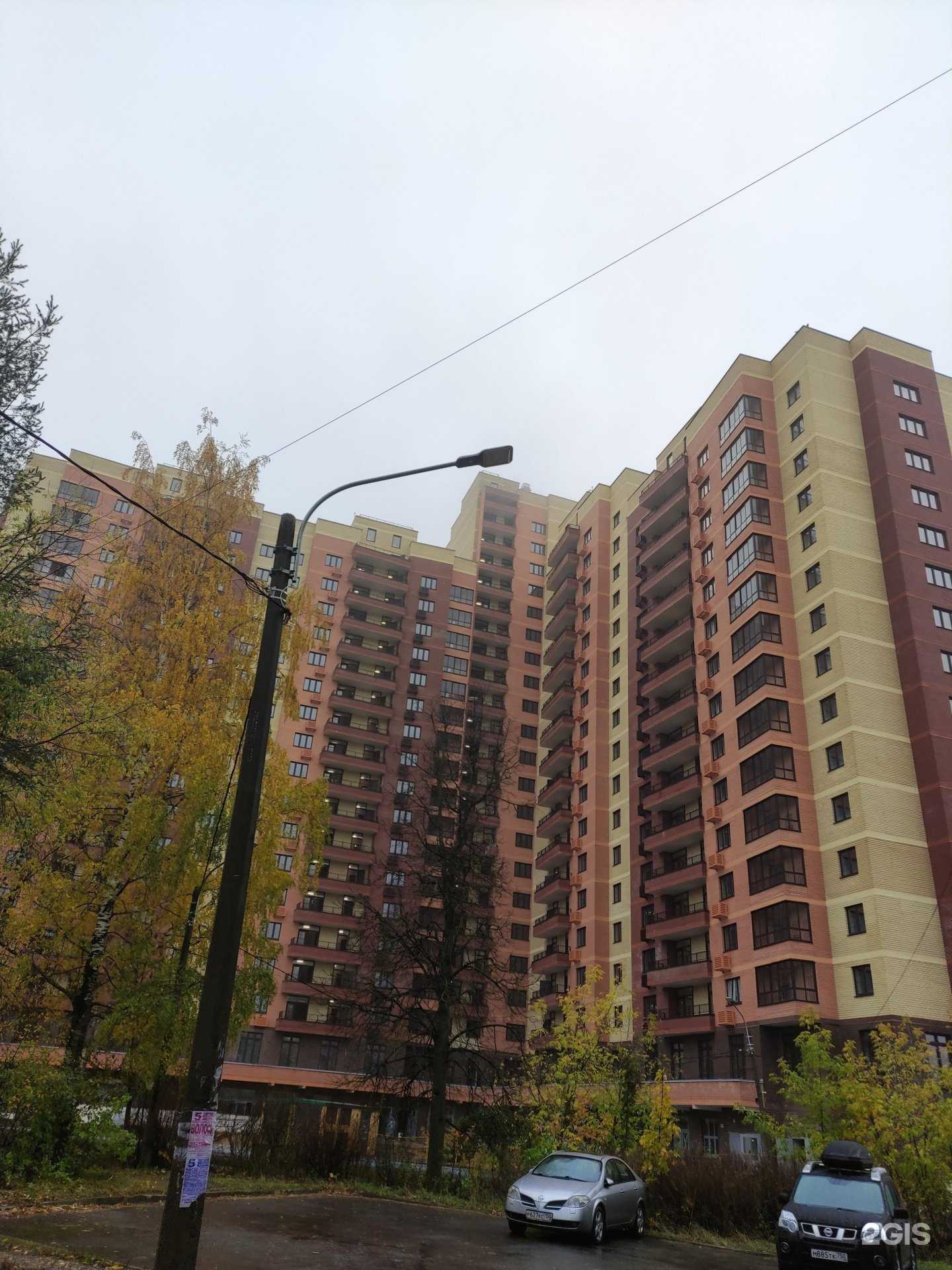 Отзывы на компанию Тело в Солнечногорске c фото - фотография 2 из 2