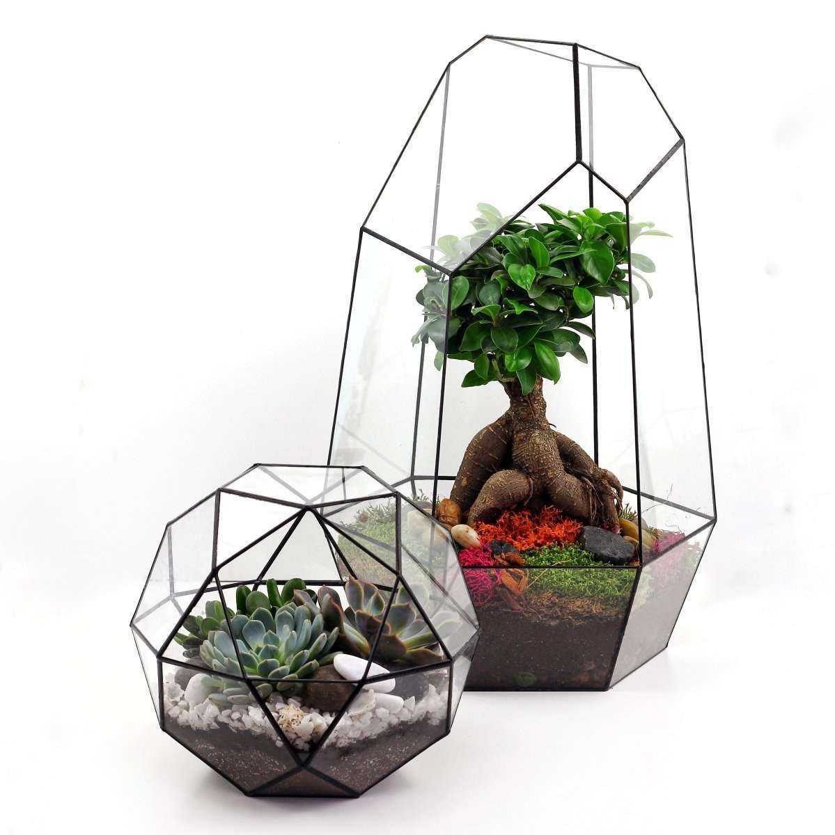 Отзывы на компанию Geo Glass в Краснодаре c фото