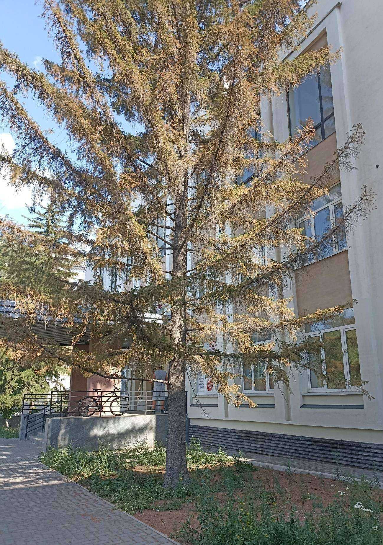 Отзывы на компанию Эксперт-Центр в Орске c фото - фотография 2 из 2