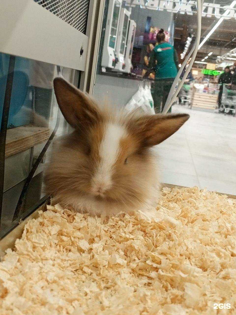 Отзывы на компанию Хэппилай в г. Пенза c фото