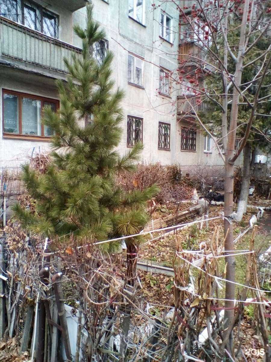 Отзывы на компанию Клеопатра в Новосибирске c фото - фотография 2 из 2