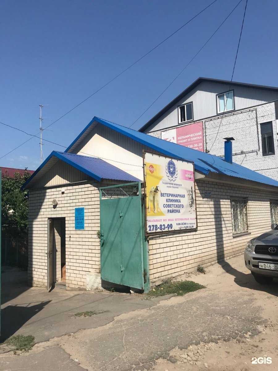 Отзывы на компанию Воронежская городская станция по борьбе с болезнями животных в г. Воронеж c фото