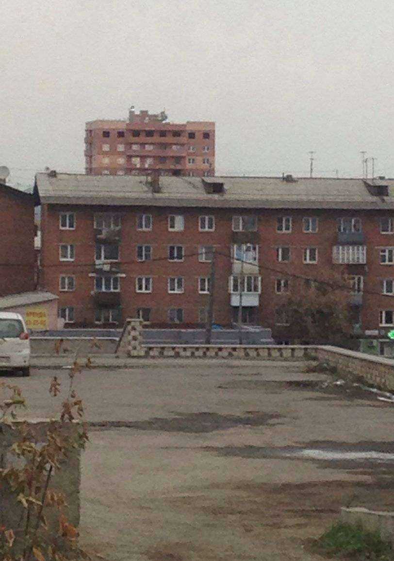 Отзывы на компанию Твой Друг Зоомагазин.РФ в Иркутске c фото - фотография 2 из 2