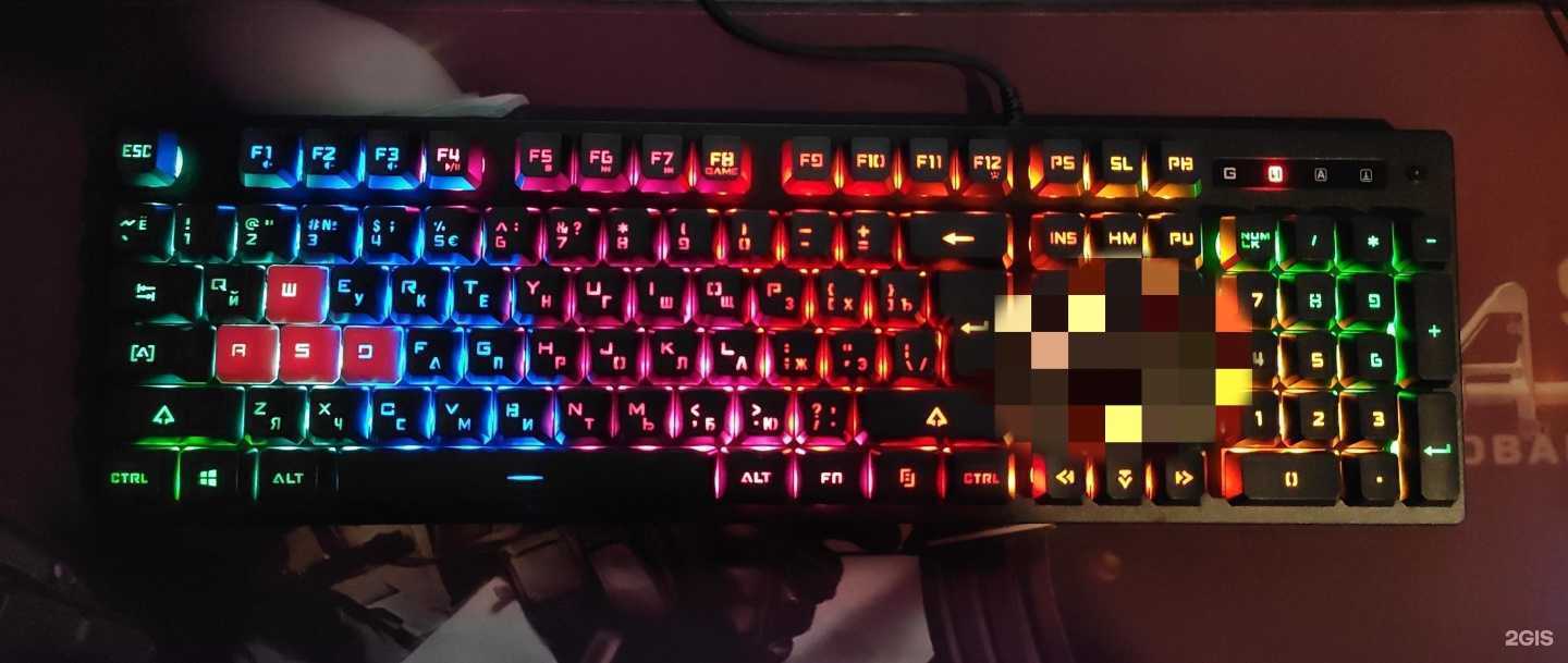 Отзывы на компанию Arena в Пскове c фото