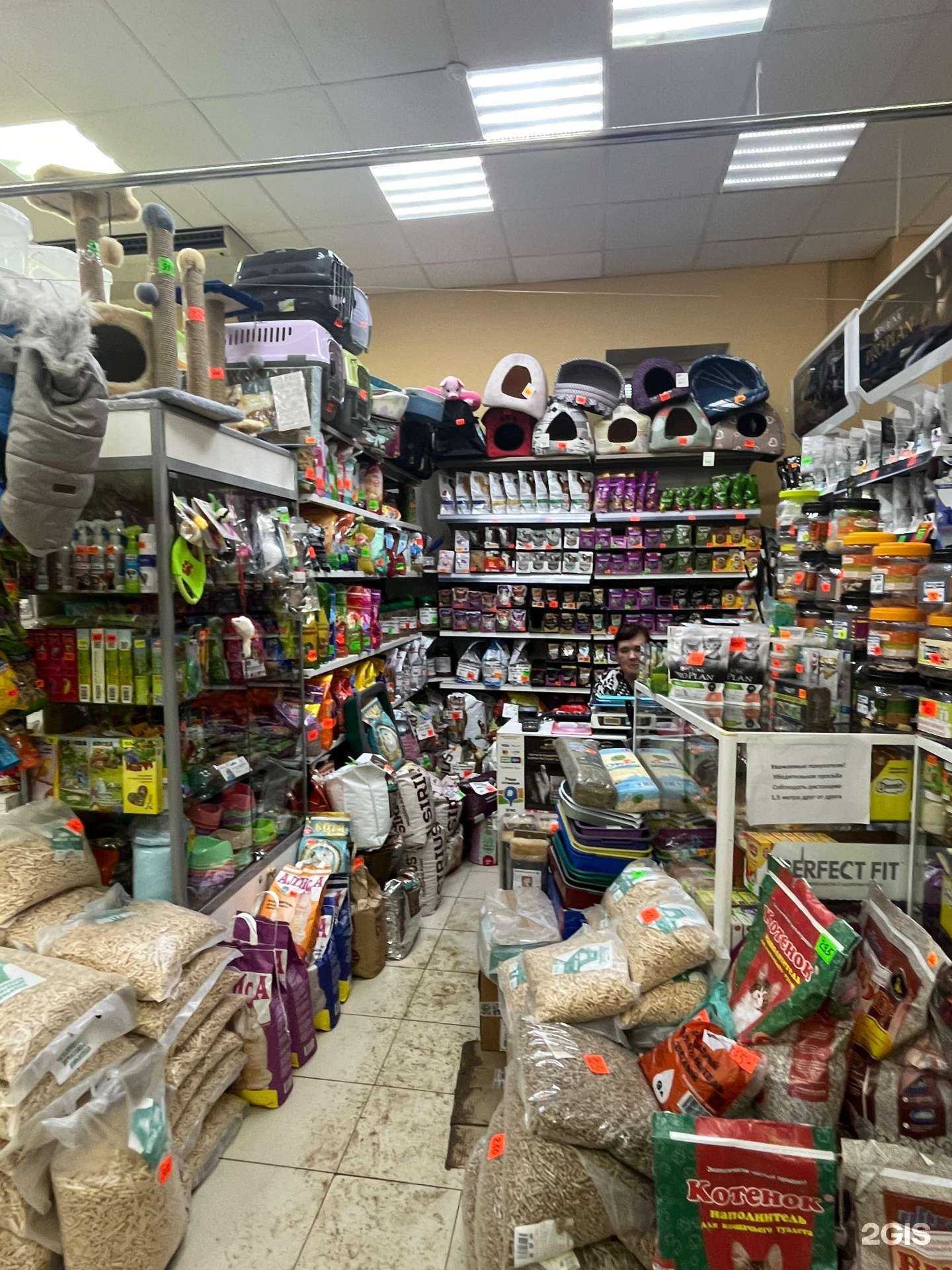 Отзывы на компанию Магазин зоотоваров в г. Тольятти c фото