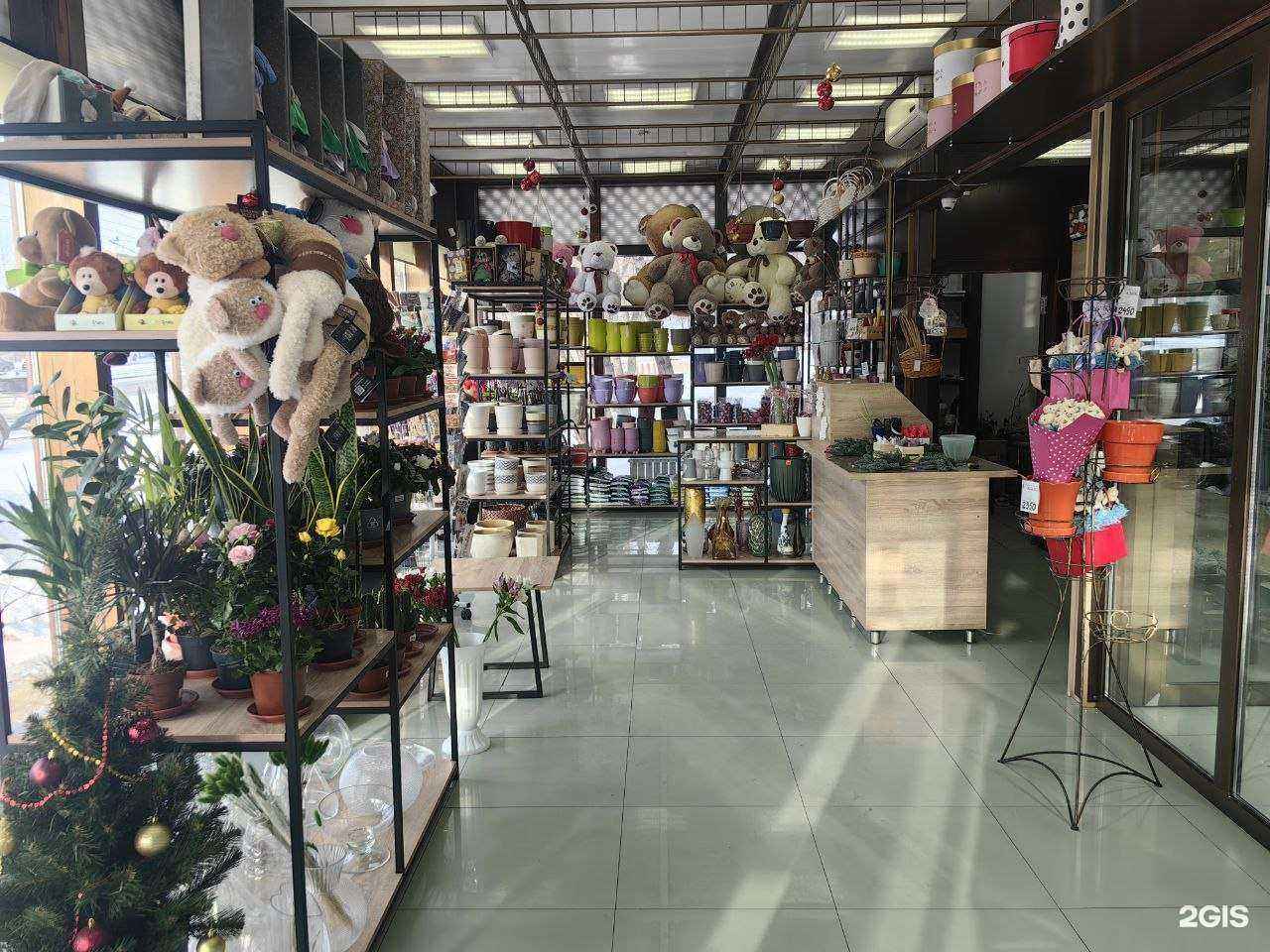 Отзывы на компанию Оазис в Улан-Удэ c фото