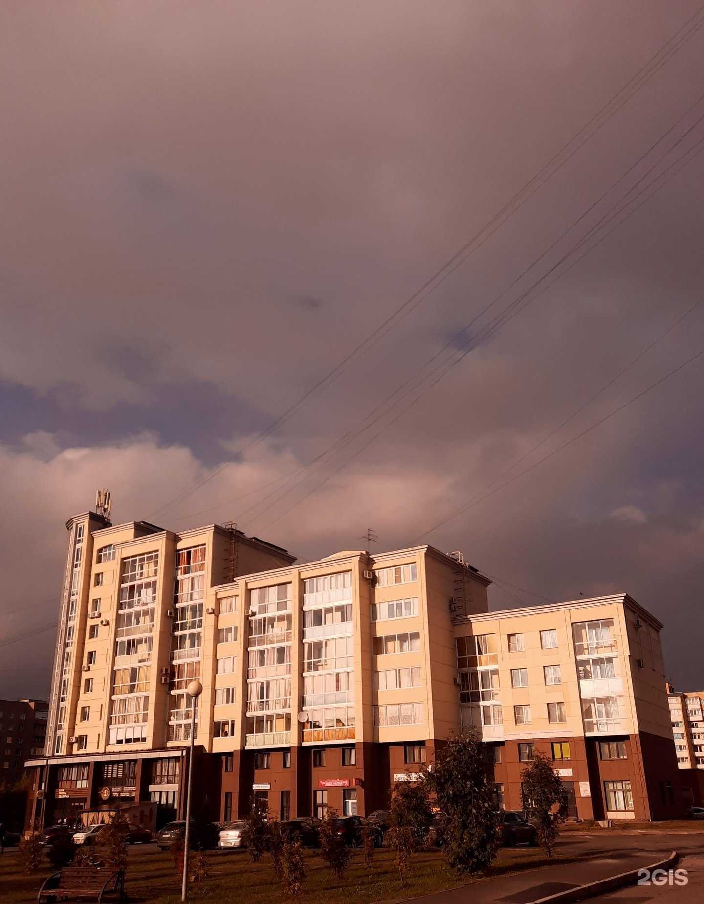 Отзывы на компанию Котопес в Кемерове c фото - фотография 2 из 2