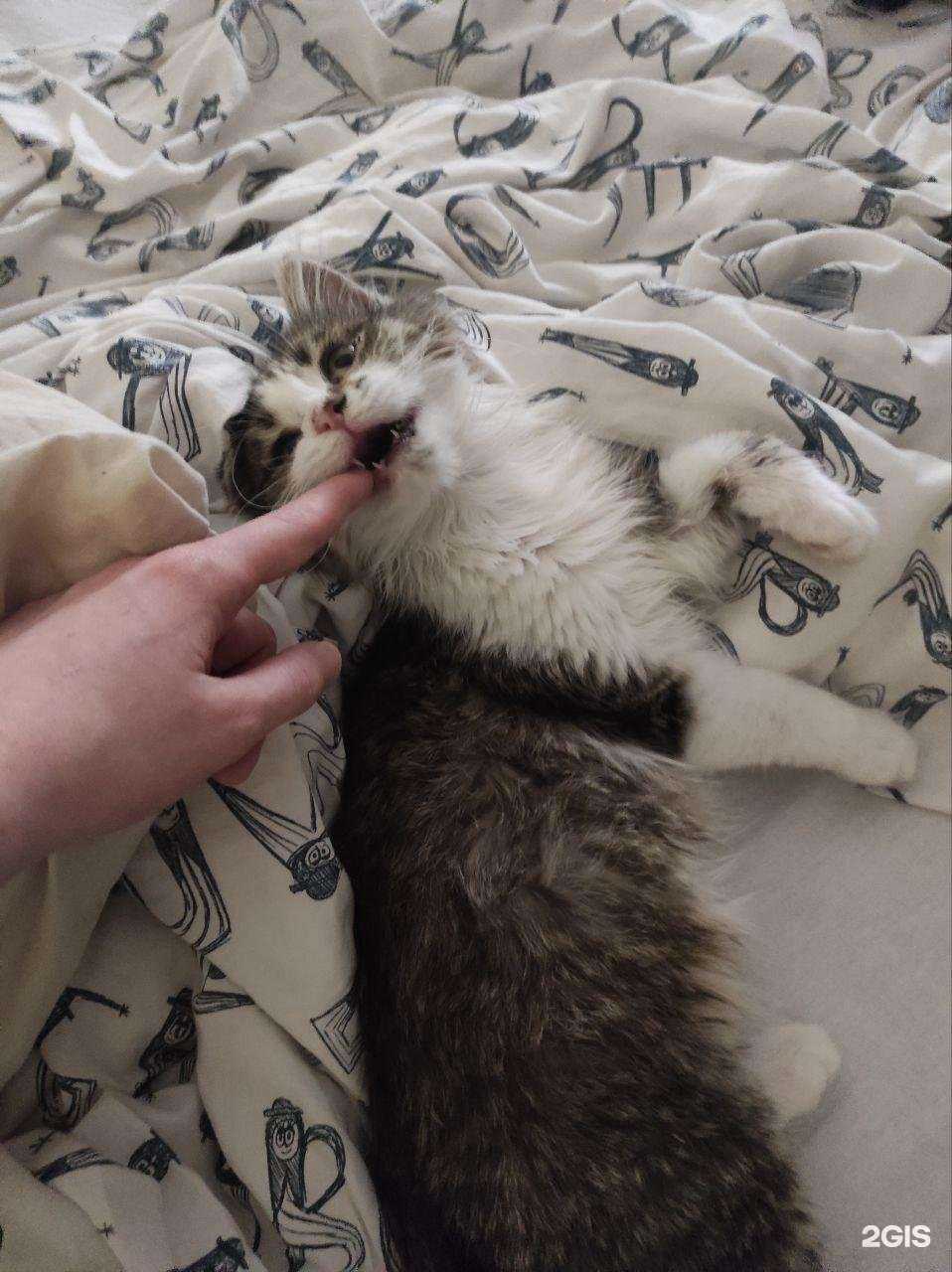 Отзывы на компанию Умка в Краснодаре c фото