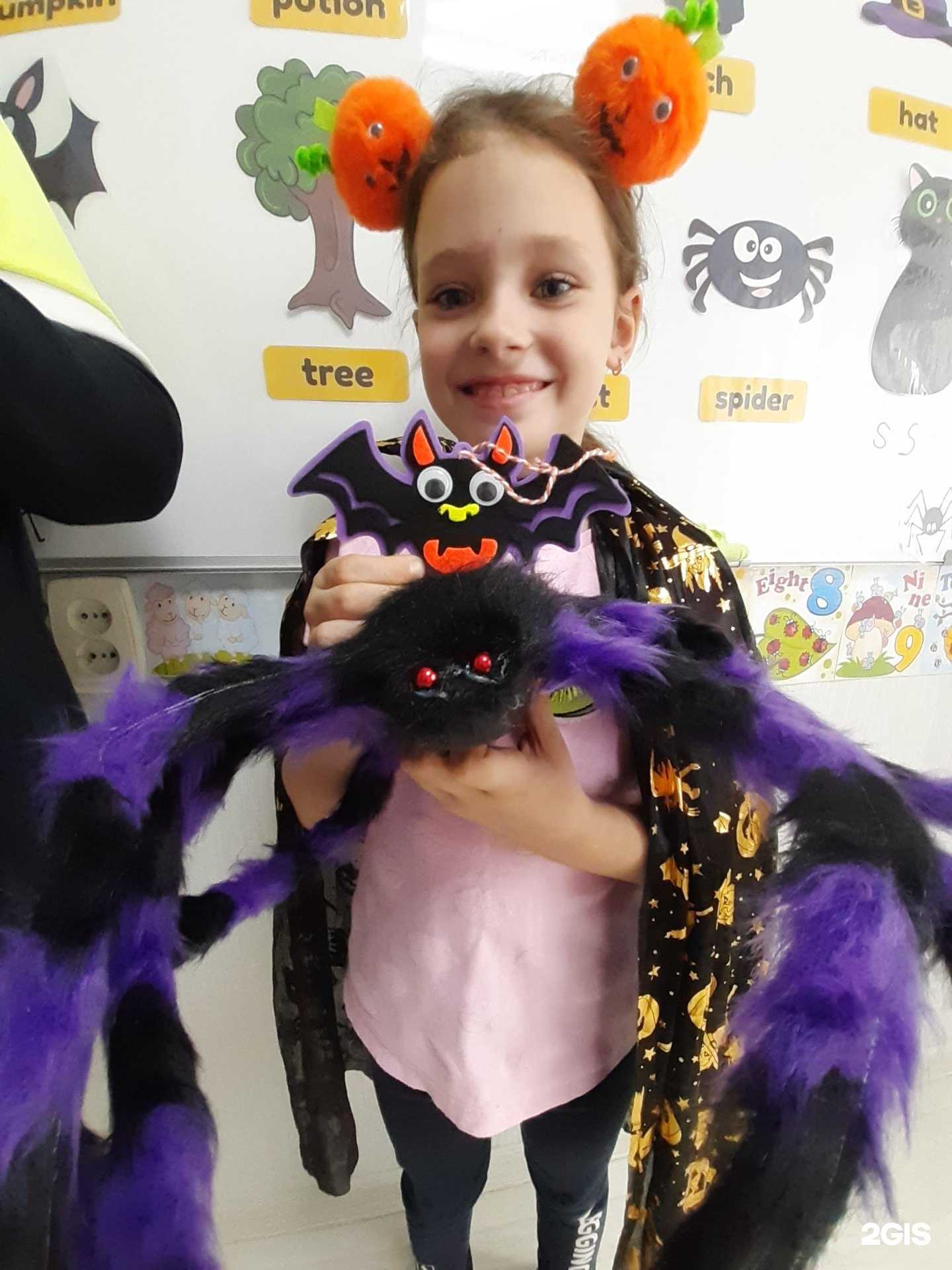 Отзывы на компанию Clever Cat в Новокузнецке c фото