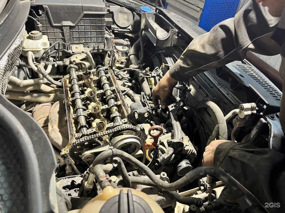 Отзывы на компанию Лимон в г. Ульяновск c фото