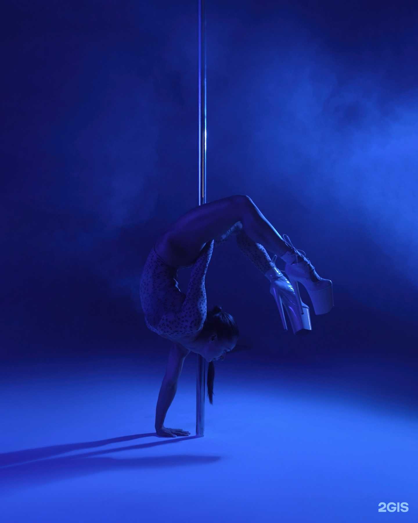 Отзывы на компанию Bagira в г. Владивосток c фото