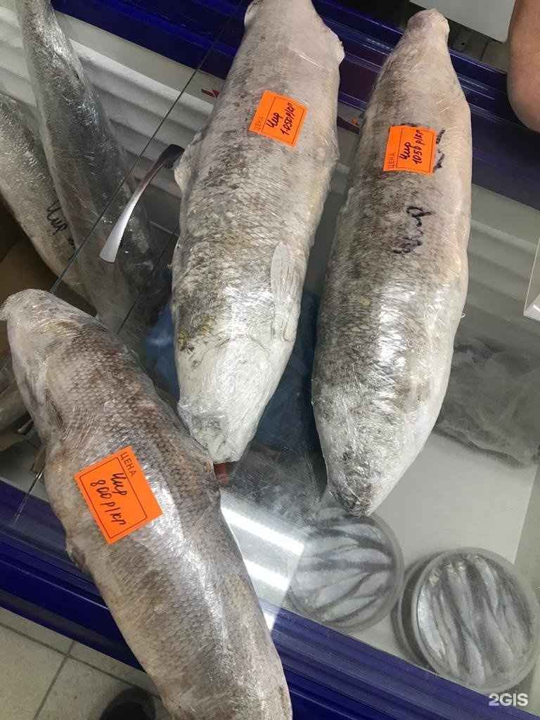 Отзывы на компанию Северная рыба в г. Новосибирск c фото