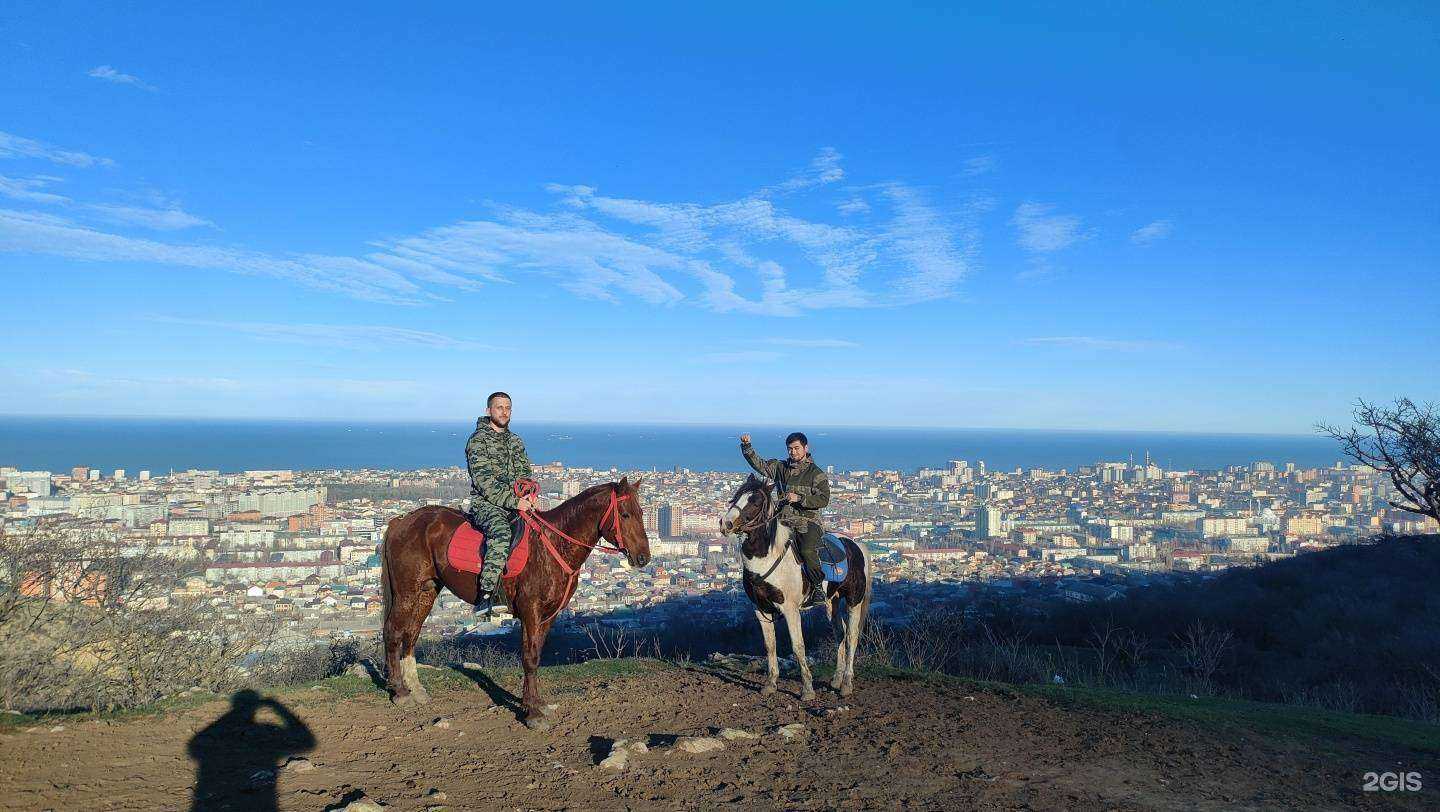 Отзывы на компанию Конный клуб в Махачкале c фото