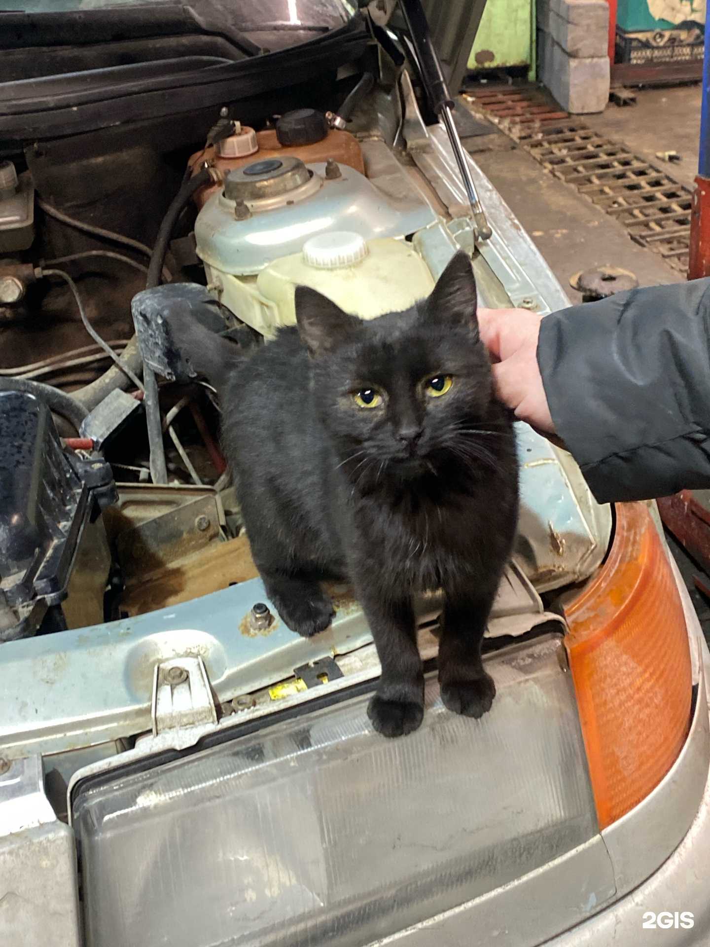 Отзывы на компанию Окей в Жигулевске c фото