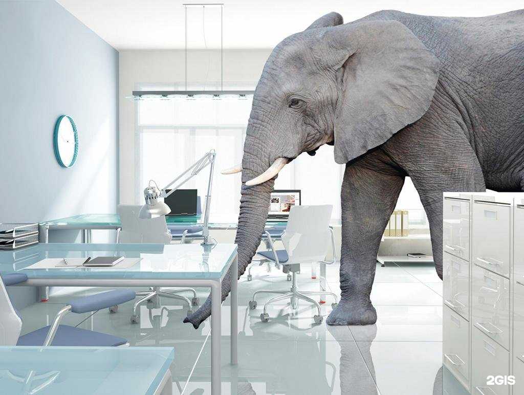 Отзывы на компанию ИнтеллектСистемЛаб в Екатеринбурге c фото