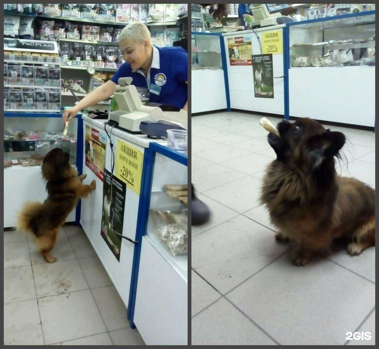 Отзывы на компанию Ветеринарная аптека доктора Чулковой в г. Волгоград c фото