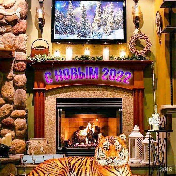 Отзывы на компанию Эгоист в г. Магнитогорск c фото