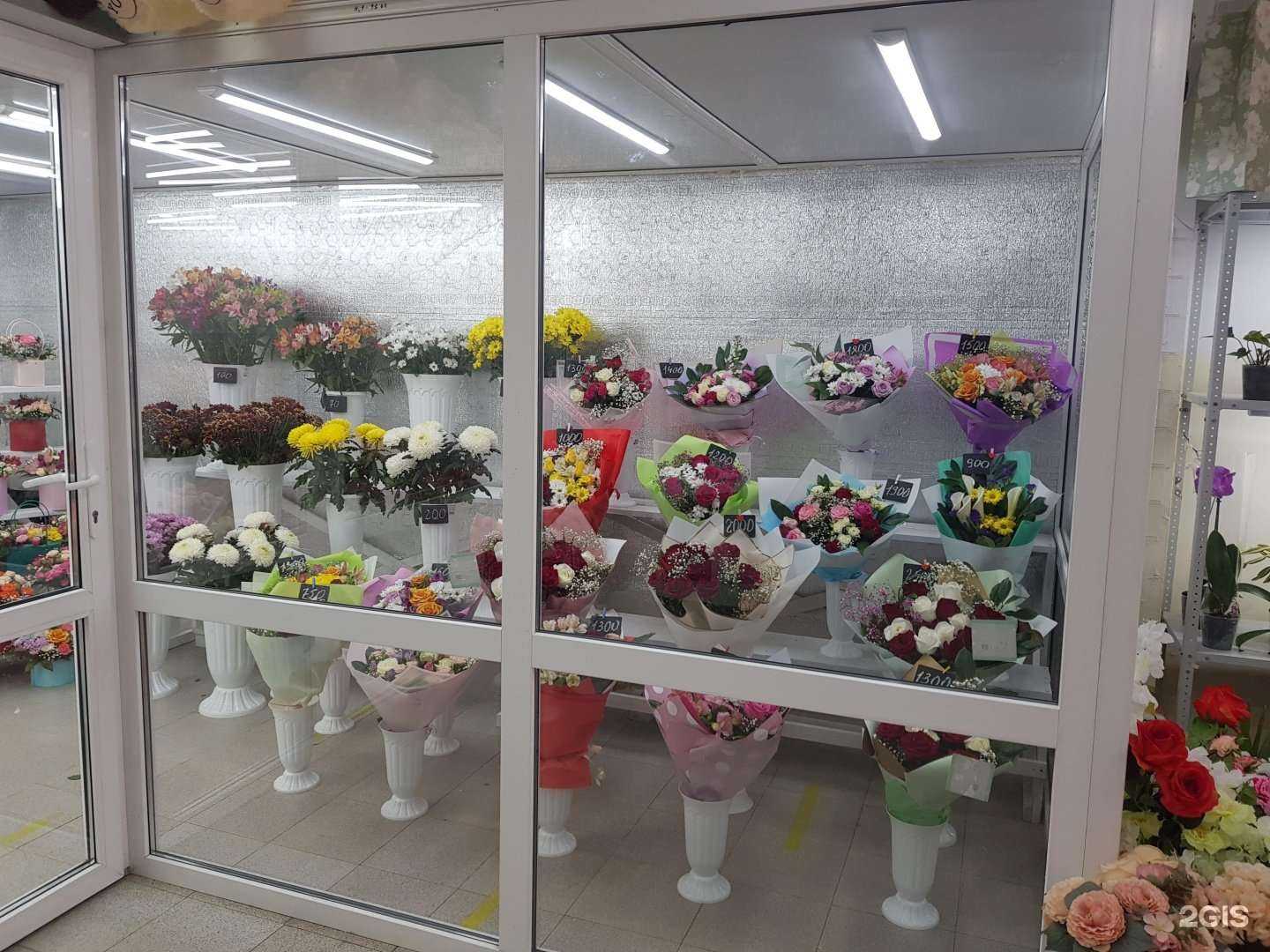 Отзывы на компанию Ева в Ставрополе c фото