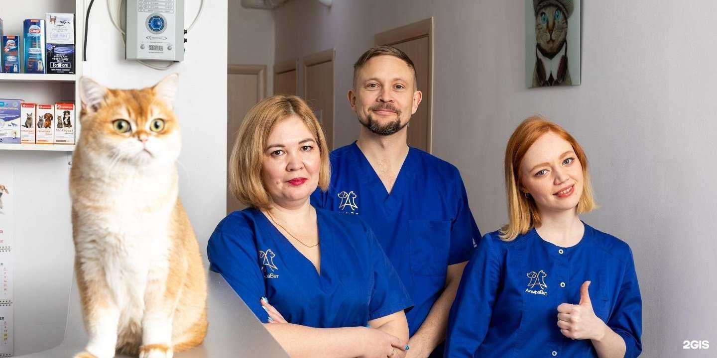 Отзывы на компанию АльфаВет в г. Челябинск c фото