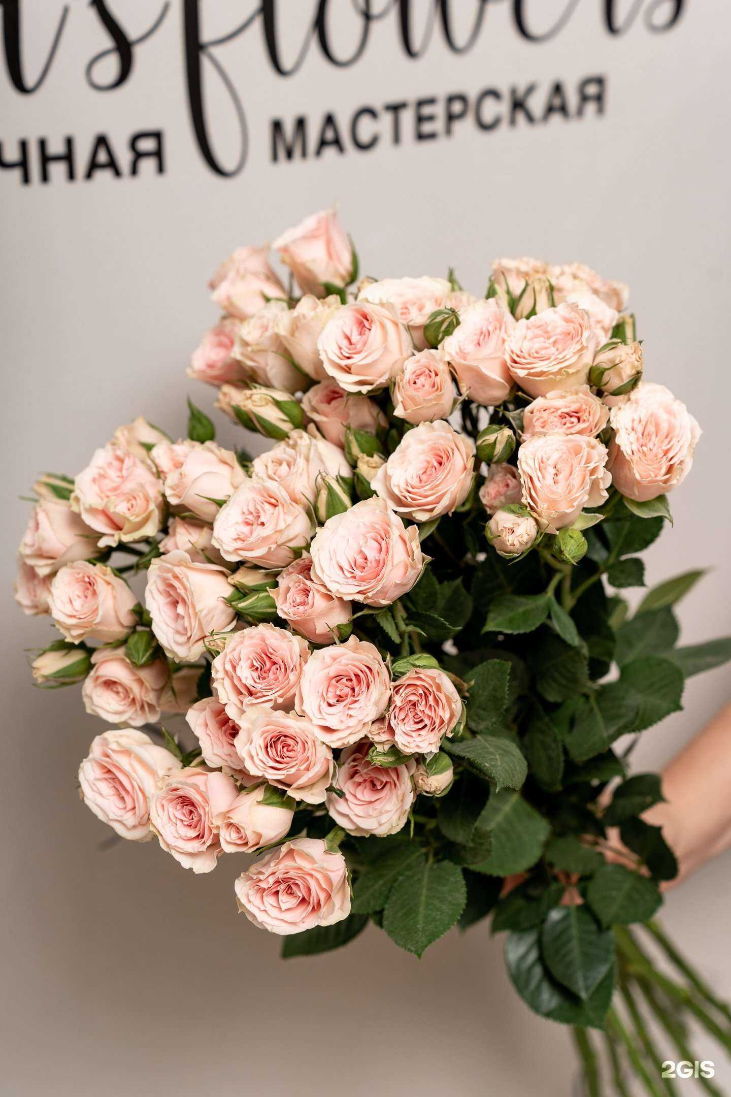 Отзывы на компанию Sistersflowers в г. Челябинск c фото