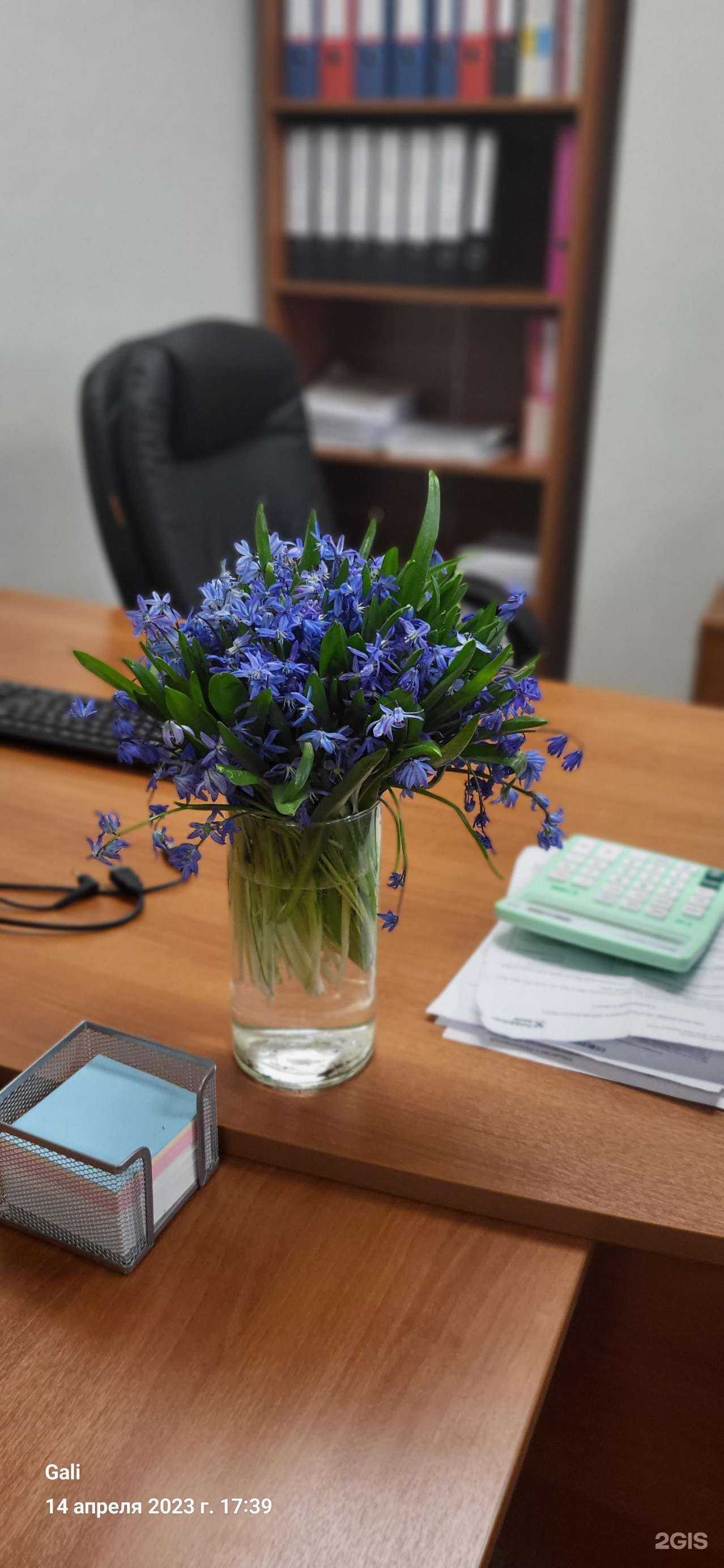 Отзывы на компанию РЭСбух в Липецке c фото