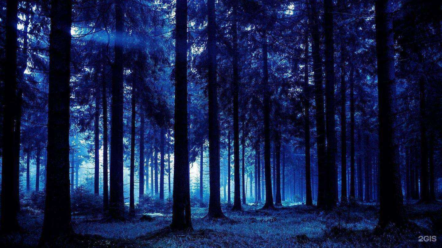 Отзывы на компанию Лес68 в г. Тамбов c фото