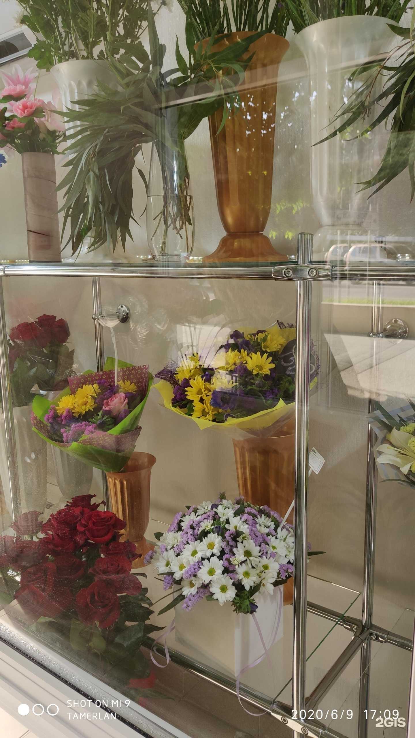 Отзывы на компанию Si_sochi в Сочи c фото