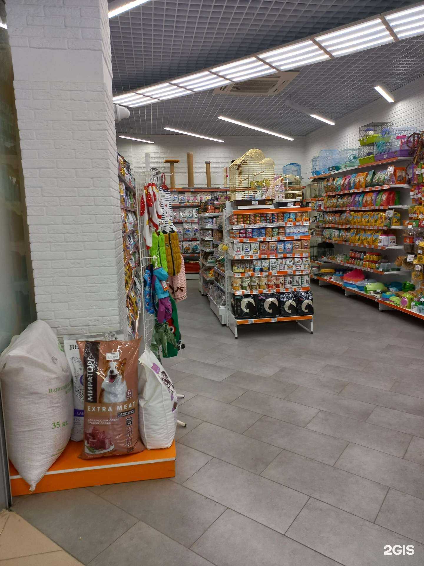 Отзывы на компанию Академия домашних животных в г. Самара c фото