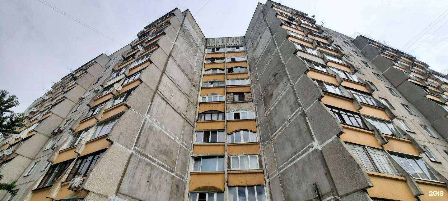 Отзывы на компанию Любимчик в г. Жуковский c фото