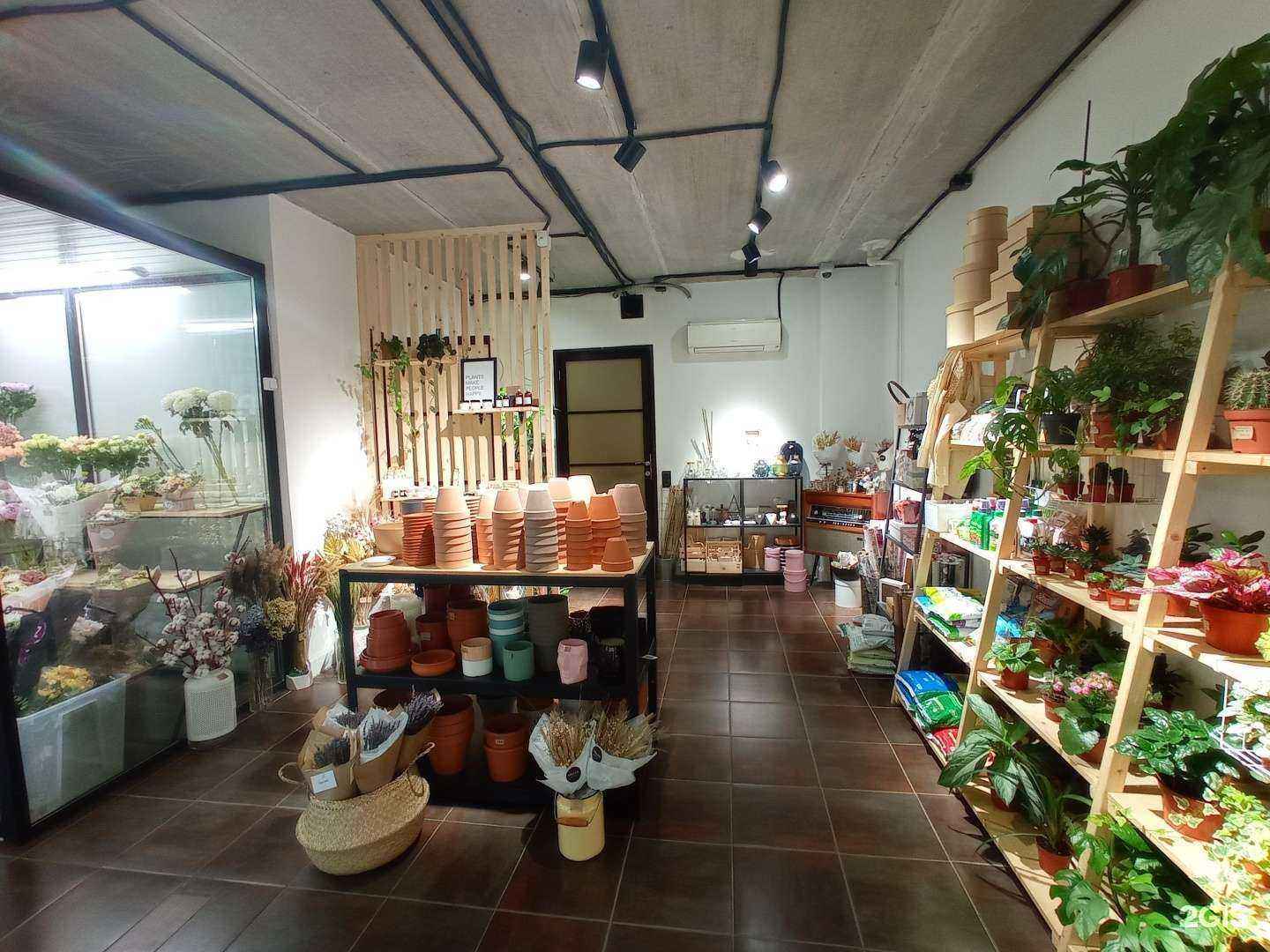 Отзывы на компанию Vasilek flowers в г. Гатчина c фото